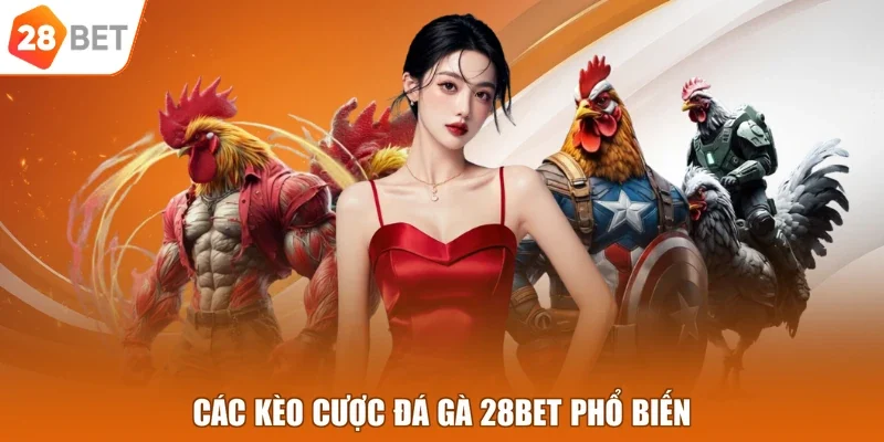 Các kèo cược đá gà 28BET phổ biến