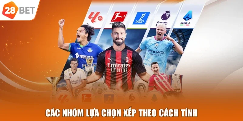 Các nhóm lựa chọn xếp theo cách tính