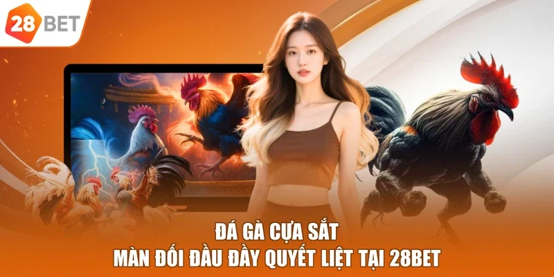 đá gà cựa sắt