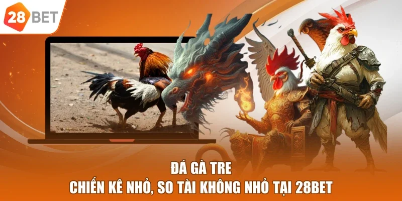đá gà tre