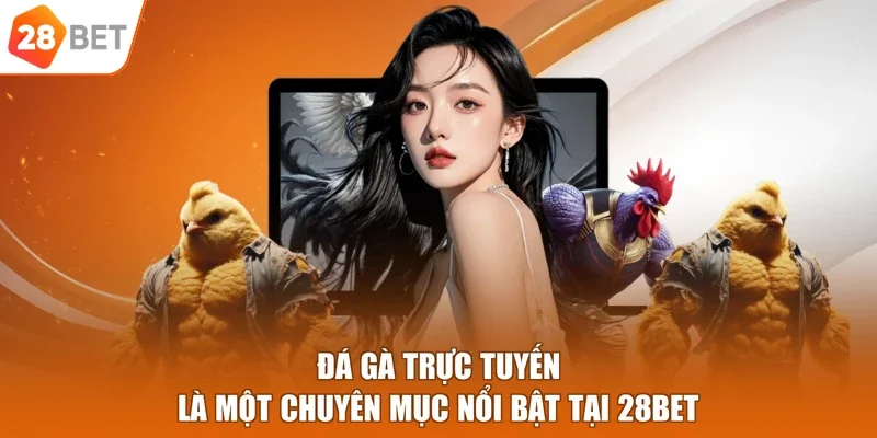 Đá gà trực tuyến là một chuyên mục nổi bật tại 28BET