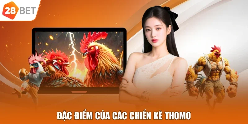Đặc điểm của các chiến kê Thomo