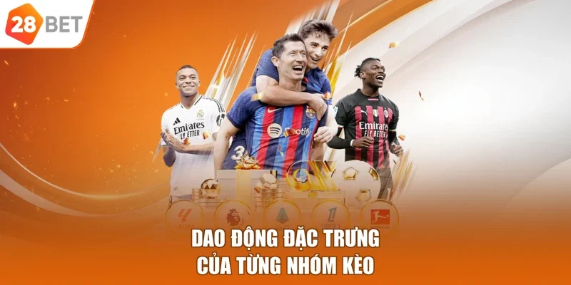 Dao động đặc trưng của từng nhóm kèo