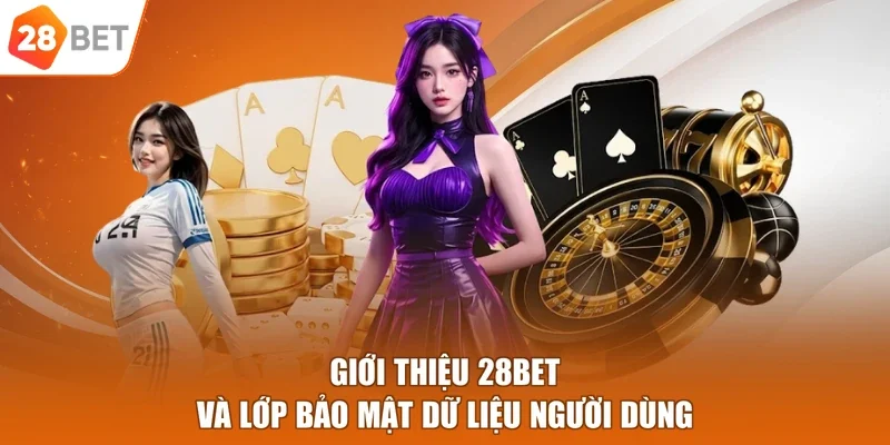 Giới thiệu 28BET và lớp bảo mật dữ liệu người dùng