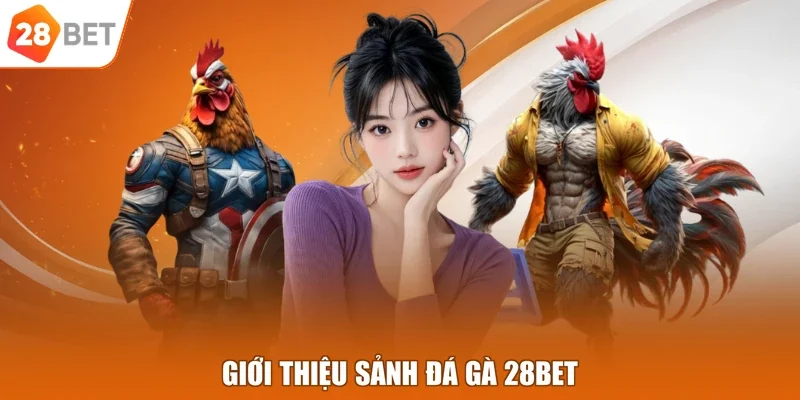 Giới thiệu sảnh đá gà 28BET