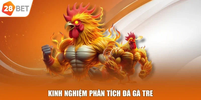 Kinh nghiệm phân tích đá gà tre
