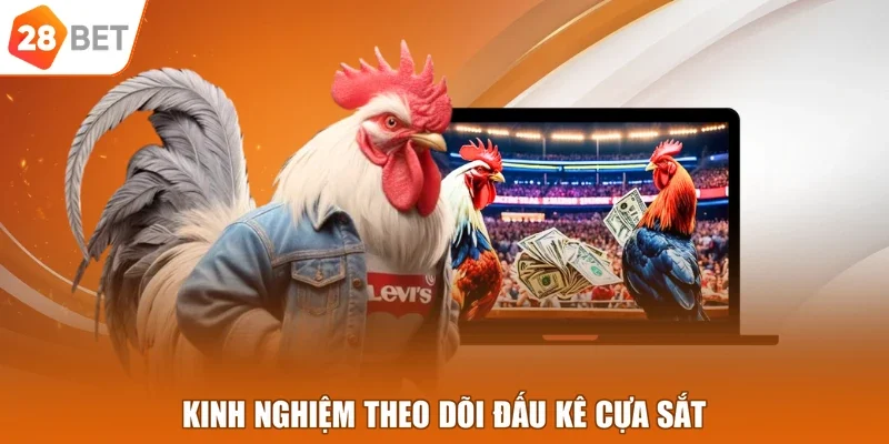 Kinh nghiệm theo dõi đấu kê cựa sắt