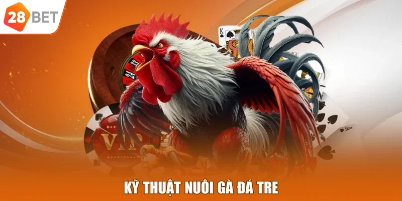 Kỹ thuật nuôi gà đá tre