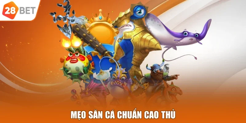 Mẹo săn cá chuẩn cao thủ