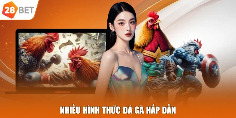 Nhiều hình thức đá gà hấp dẫn