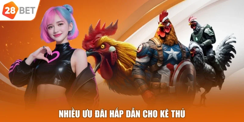 Nhiều ưu đãi hấp dẫn cho kê thủ