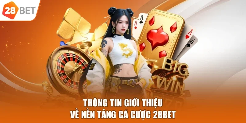 Thông tin giới thiệu về nền tảng cá cược 28BET
